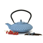 Cast Iron Teapot // Blue