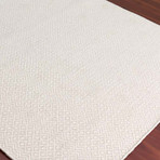 Bella Area Rug // Ivory (2'L x 3'W)