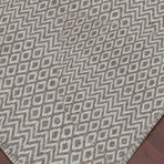 Bella Area Rug // Beige (4'L x 6'W)