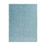 Idina Area Rug // Teal Gray (2'L x 3'W)