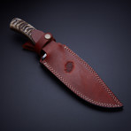 Small Bowie Knife // Ram Horn + Laminated Wood Handle