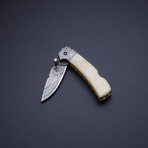 Single Blade Pocket Knife // 3.5" (Bone Handle + Brass Liner)