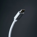 Gemini Cable II // Lightning + Micro USB Charge/Sync Cable // Satellite