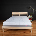 Performa Sleep Mattress (Twin)