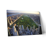 Manhattan // Central Park (20"L x 30"H x 0.75"D)