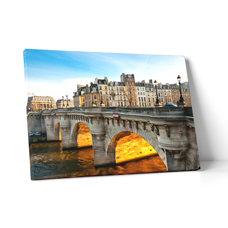 Paris // Pont Neuf (20"L x 30"H x 0.75"D)