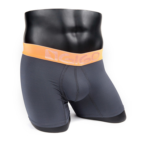 Carlos Long Boxer Brief // Punt Grey (S)