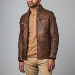 Collar Jacket // Brown (XS)