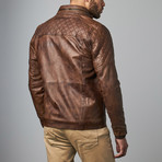 Collar Jacket // Brown (XS)
