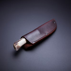 Sambar Stag + Horsehide Hunter Knife