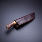 Sambar Stag Drop Point Knife