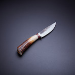 Sambar Stag Drop Point Knife