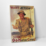 Want Action? (20"W x 30"H x 0.75"D)