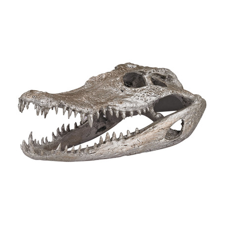 Decorative Crocodile Skull