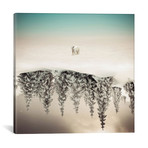 Brod (18"W x 18"H x 0.75"D)