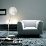 DISC // Stem Reflection Illuminating Globe