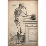 De Humani Corporis Fabrica Skeleton Standing // Andreas Vesalius (18"W x 26"H x 0.75"D)