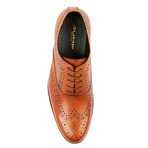 Vickers Wing Tip Brogue Oxford // Tan (US: 11)