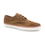 J SHOES // Novello Wingtip Sneaker // Daschund (US: 11.5)