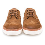 J SHOES // Novello Wingtip Sneaker // Daschund (US: 11.5)