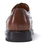 Wing Cap Goodyear Oxford // Brown (Euro: 40)