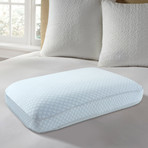 Artic Sleep Europeutic Big + Soft Cooling Gel Memory Foam Gel Pillow + 2" Gusset