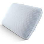 Artic Sleep Europeutic Big + Soft Cooling Gel Memory Foam Gel Pillow + 2" Gusset