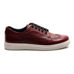 Mason Sneaker // Bordeaux (Euro: 44)