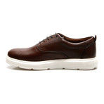 Michael Sneaker // Brown (Euro: 41)