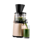 HT Slow Juicer