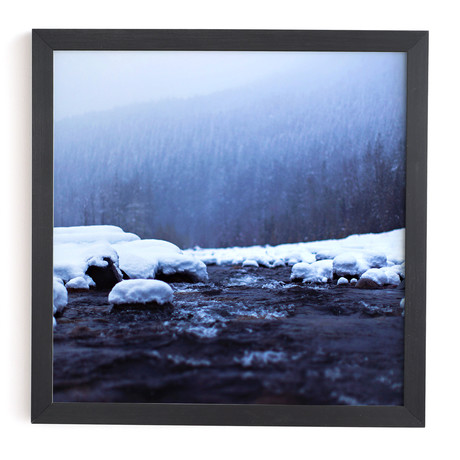 Nisqually River (Black Framed Wall Art: 12"W x 12"H)