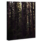 Woods (Black Framed Wall Art: 11"W x 13"H)