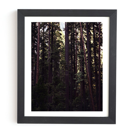 Woods (Black Framed Wall Art: 11"W x 13"H)