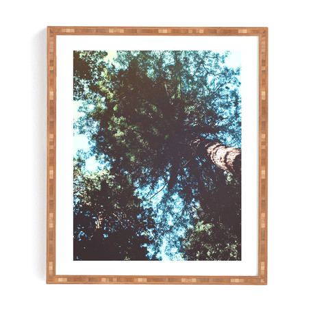 Treetops (Bamboo Framed Wall Art: 11"W x 13"H)