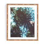 Treetops (Bamboo Framed Wall Art: 11"W x 13"H)