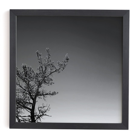 Tree (Black Framed Wall Art: 12"W x 12"H)