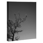 Tree (Black Framed Wall Art: 12"W x 12"H)