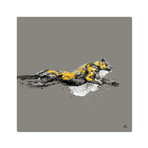 -Loxus (16"W x 16"H x 0.5"D)