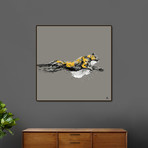 -Loxus (16"W x 16"H x 0.5"D)