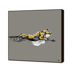 -Loxus (16"W x 16"H x 0.5"D)