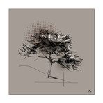 Miamba (16"W x 16"H x 0.5"D)