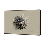 -Liris (20"W x 16"H x 0.5"D)