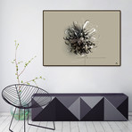 -Liris (20"W x 16"H x 0.5"D)