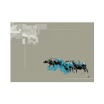 Amoii (20"W x 16"H x 0.5"D)