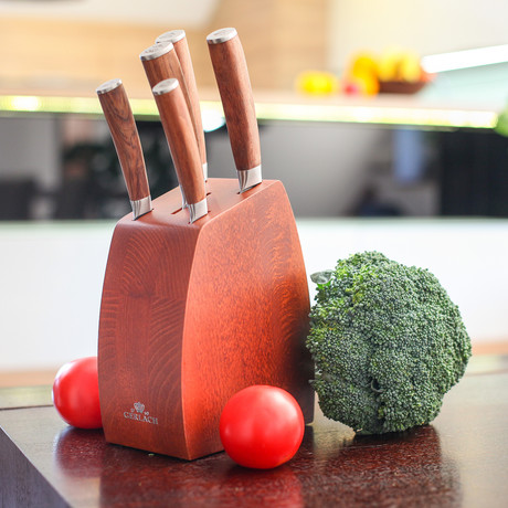 5 Piece Knife Block Set // 979