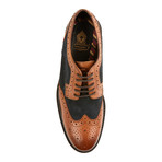 Base London // Conflict Brogue // Tan + Navy (Euro: 43)