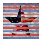 US Flag Star II (18"W x 18"H x 1.5"D)