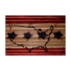 Stars Across America (36"W x 24"H x 1.5"D)