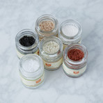 Starter Salt Set (Tin)