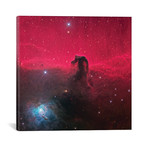The Magnificent Horse Head Nebula // NASA (18"W x 18"H x 0.75"D)